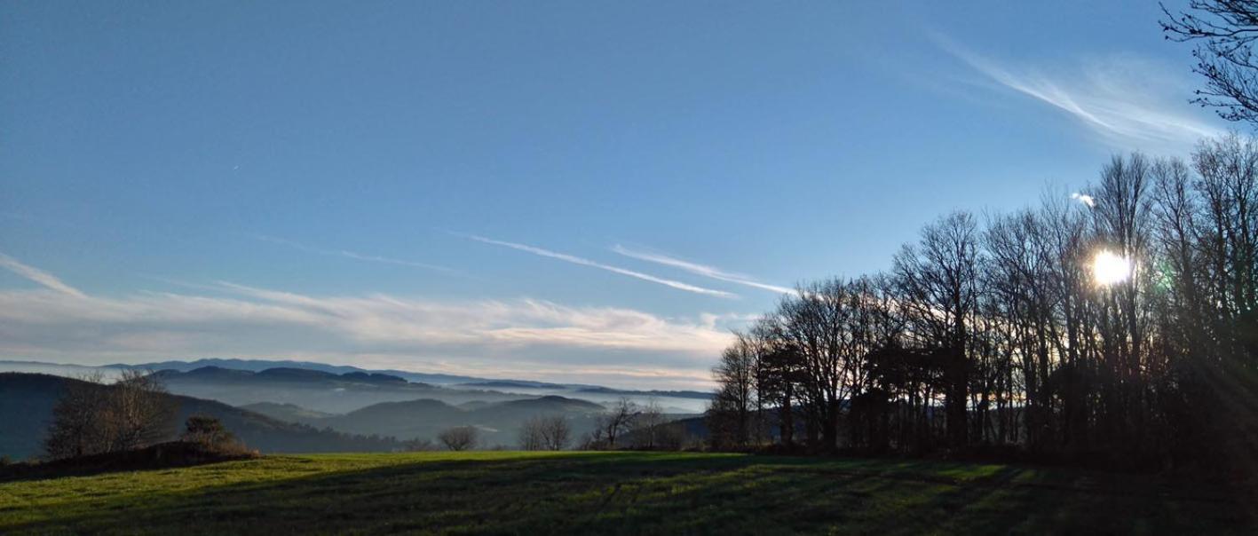 Gites Des Esselards Yzeron Exterior foto