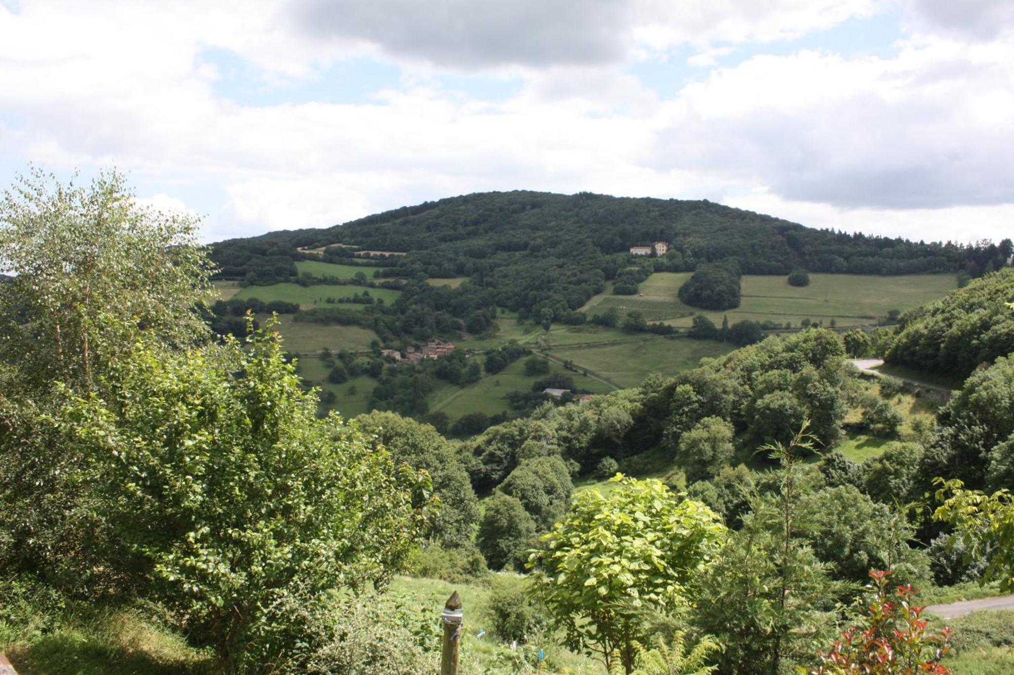 Gites Des Esselards Yzeron Exterior foto